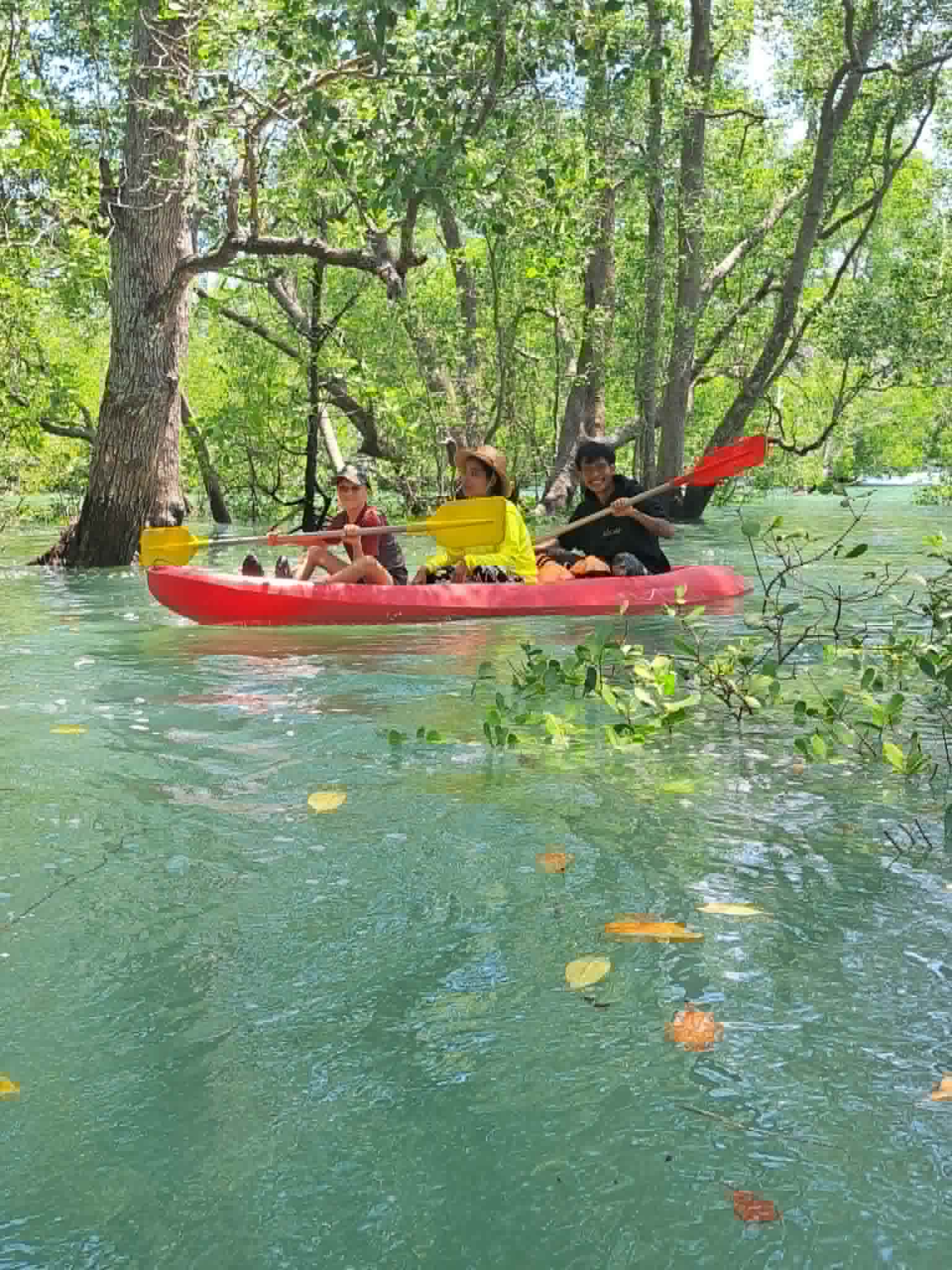 Guests kayaking through the mangrove canal near BigHugHome